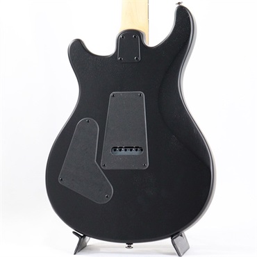 P.R.S. SE Swamp Ash CE 24 Sandblasted Limited Edition (Sandblasted Blue) 画像3