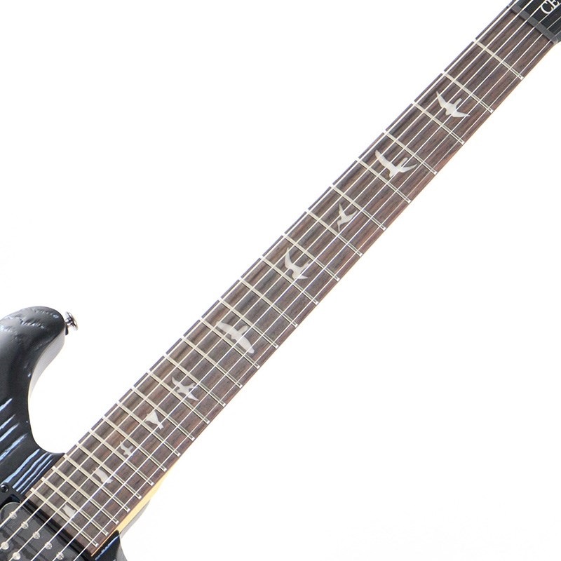 P.R.S. SE Swamp Ash CE 24 Sandblasted Limited Edition (Sandblasted Blue) 画像5