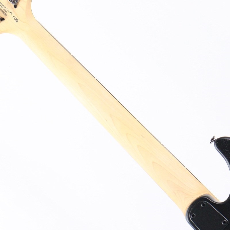 P.R.S. SE Swamp Ash CE 24 Sandblasted Limited Edition (Sandblasted Blue) 画像6