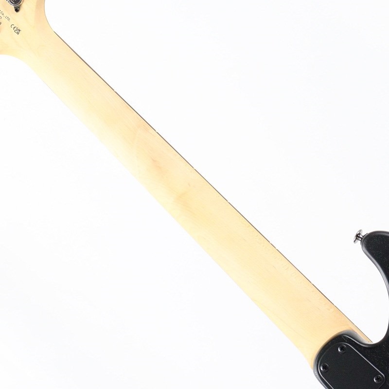 P.R.S. SE Swamp Ash CE 24 Sandblasted Limited Edition (Sandblasted Green) 画像6