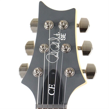 P.R.S. SE Swamp Ash CE 24 Sandblasted Limited Edition (Sandblasted Green) 画像7