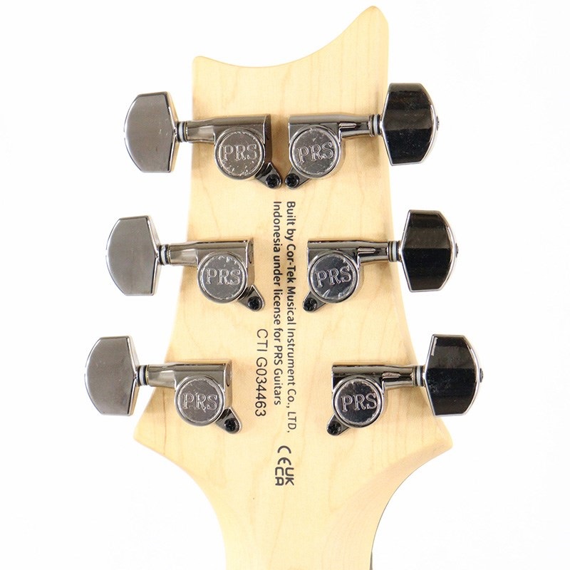 P.R.S. SE Swamp Ash CE 24 Sandblasted Limited Edition (Sandblasted Green) 画像8