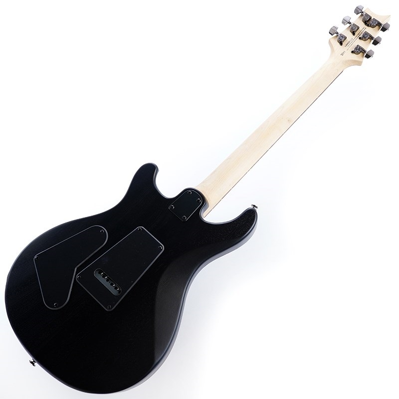 P.R.S. SE Swamp Ash CE 24 Sandblasted Limited Edition (Sandblasted White) 画像2