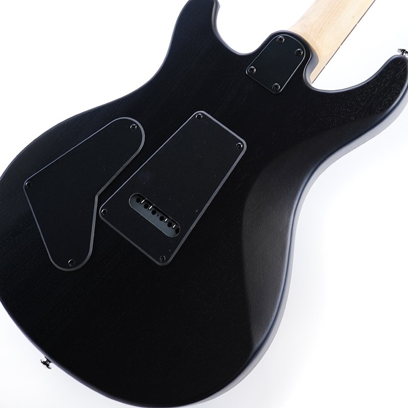 P.R.S. SE Swamp Ash CE 24 Sandblasted Limited Edition (Sandblasted White) 画像7