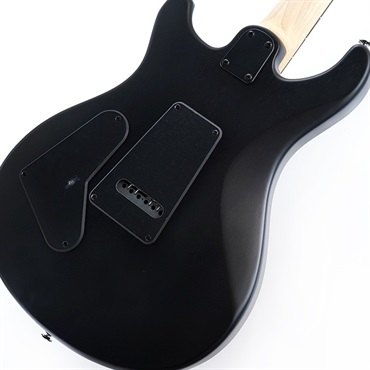 P.R.S. SE Swamp Ash CE 24 Sandblasted Limited Edition (Sandblasted Red) 画像7