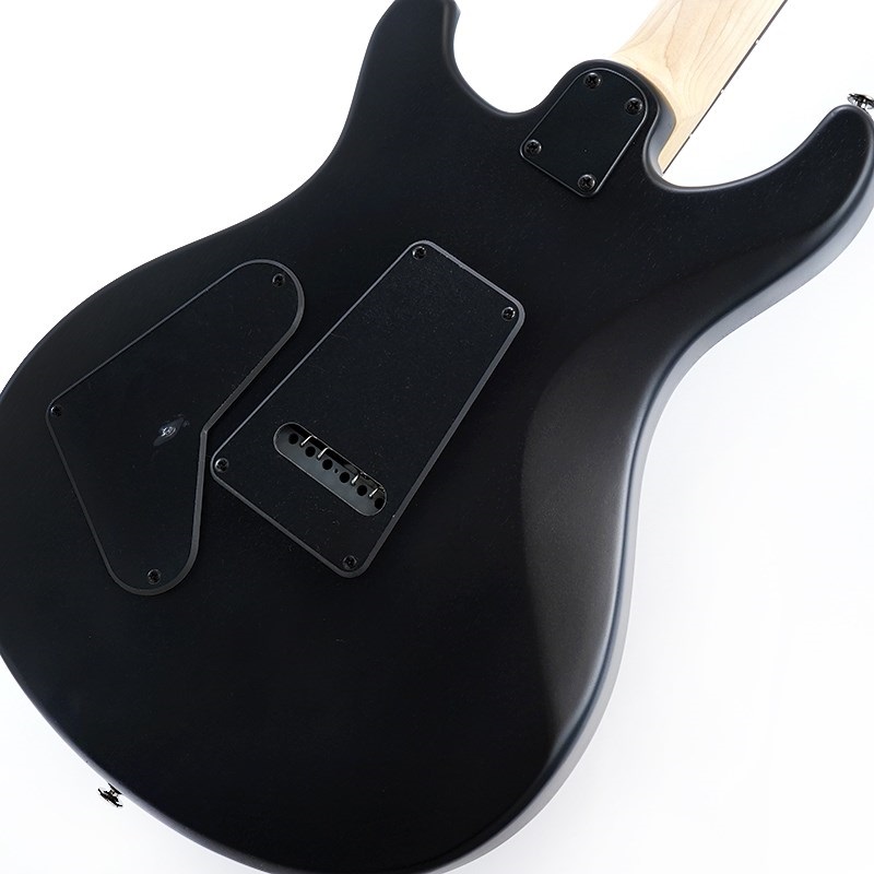 P.R.S. SE Swamp Ash CE 24 Sandblasted Limited Edition (Sandblasted Red) 画像7