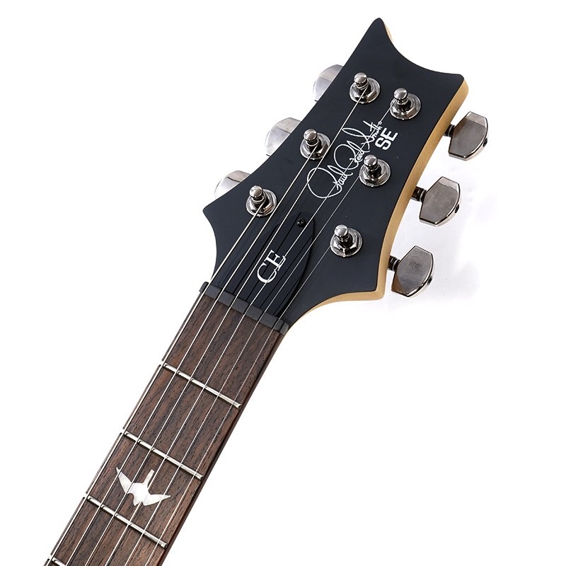 P.R.S. SE Swamp Ash CE 24 Sandblasted Limited Edition (Sandblasted Purple) 画像8