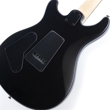 P.R.S. SE Swamp Ash CE 24 Sandblasted Limited Edition (Sandblasted Blue) 画像7