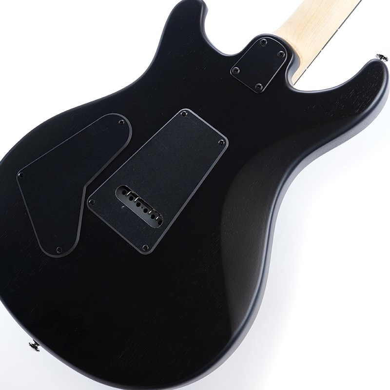 P.R.S. SE Swamp Ash CE 24 Sandblasted Limited Edition (Sandblasted Blue) 画像7