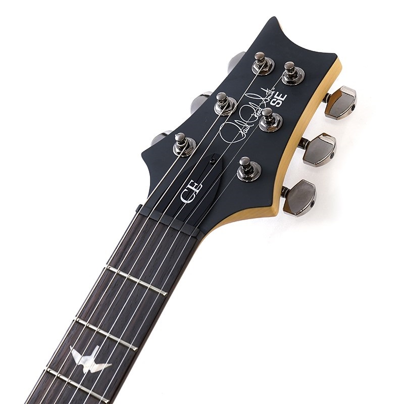 P.R.S. SE Swamp Ash CE 24 Sandblasted Limited Edition (Sandblasted Blue) 画像8
