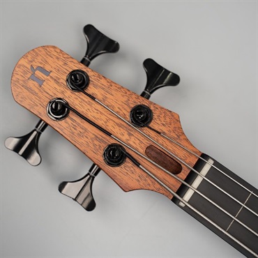 NATASHA NBSG Bass Fretless 画像3
