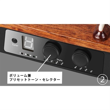 NATASHA NBSG Bass Fretless 画像6
