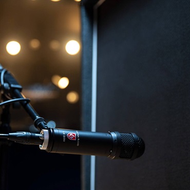 Lauten Audio LS-208 画像4