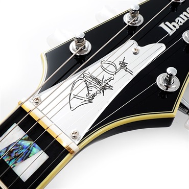 Ibanez PS3CM 【S/N E241407】 【Paul Stanley Model】【限定モデル】 画像8