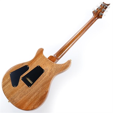 P.R.S. 2024 Custom 24 10top (Yellow Tiger) SN.0385681 ｜イケベ楽器