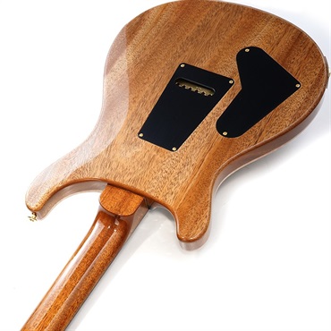 PRS Custom 24 10Top Yellow Tiger 2024年製 PRS Custom 24 10Top Yellow Tiger #366083 - YouTube