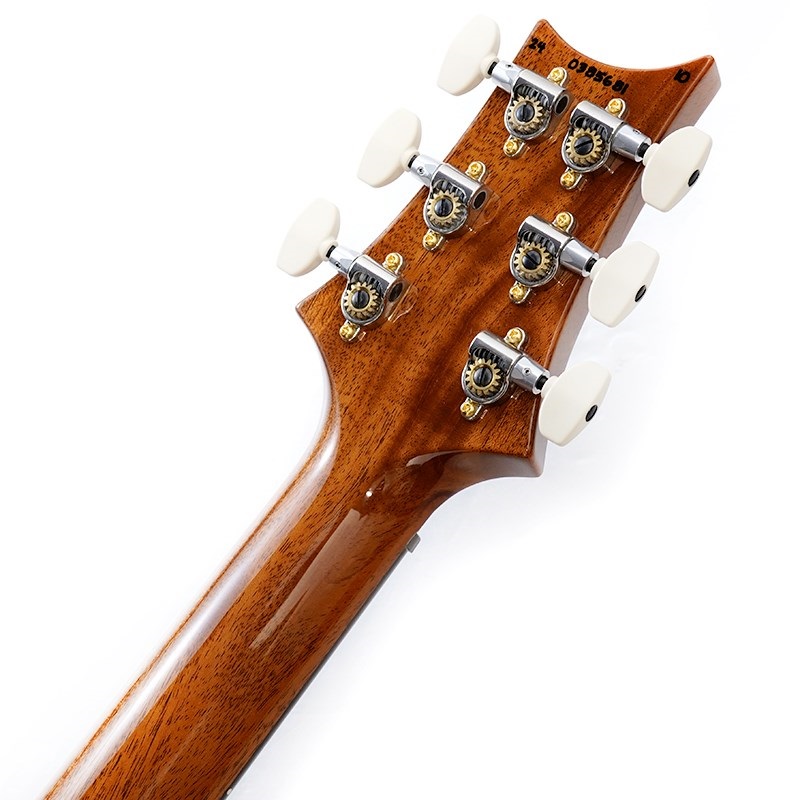 P.R.S. 2024 Custom 24 10top (Yellow Tiger) SN.0385681 ｜イケベ楽器