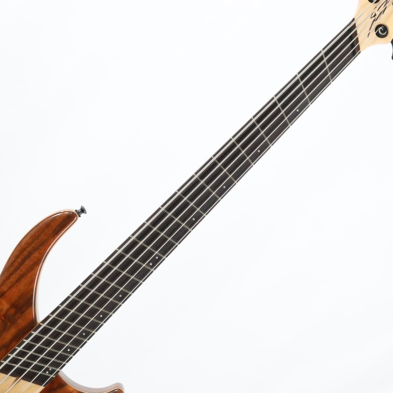 Washburn CB-15 CO 5弦ベース DINGWALL 【USED】 Afterburner II