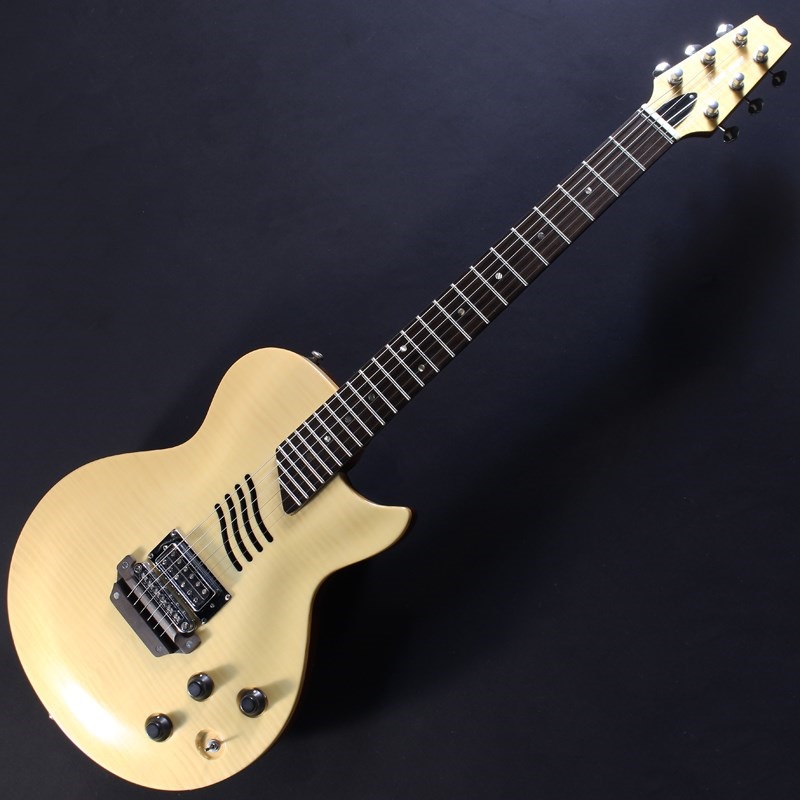 Landscape ランドスケープ SE-01/N エレアコ エレガット 【Acoustic