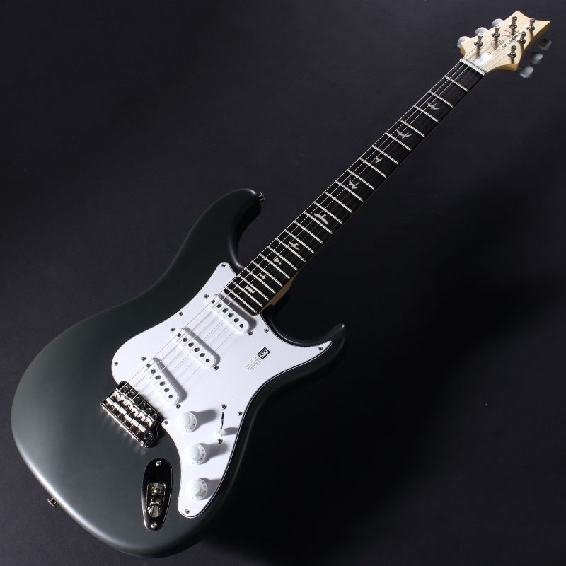 P.R.S. Silver Sky Rosewood (Faded Black Tee Satin) [John Mayer Model] 画像1