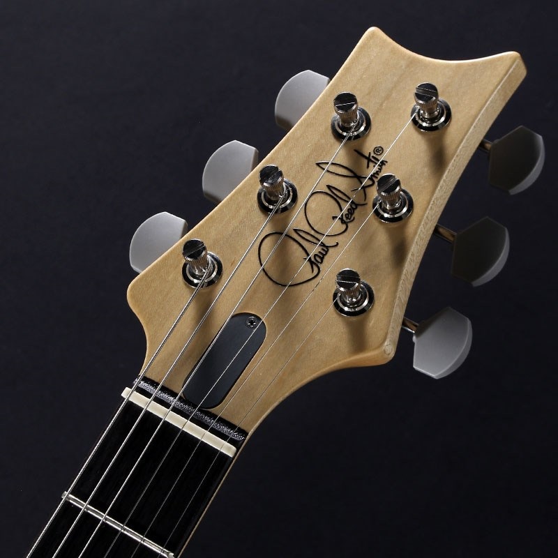 P.R.S. Silver Sky Rosewood (Faded Black Tee Satin) [John Mayer Model] 画像4