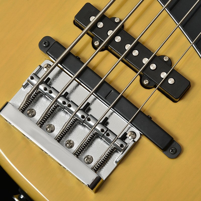 Bacchus WL5-ASH-GK (BBD) [BOSS GK-5搭載モデル] 【Bacchus