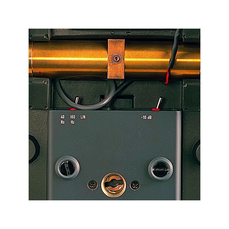 NEUMANN KU100(ダミーヘッドマイク)(国内正規品3年保証)(ノイマン