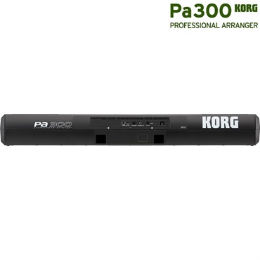 KORG コルグ Pa300 61鍵 キーボード パーソナルアレンジャー KORG Pa300 シンセサイザー professional arranger61鍵盤 コルグ