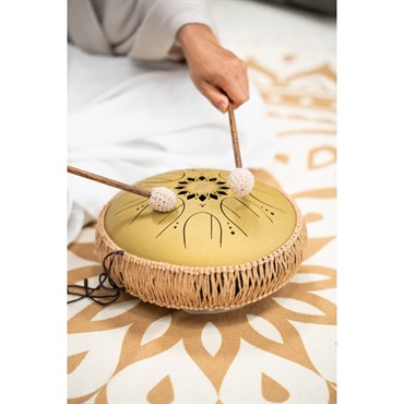 MEINL MOSTD3G [Medium Octave Steel Tongue Drums 10'' / Gold - C major] 画像3