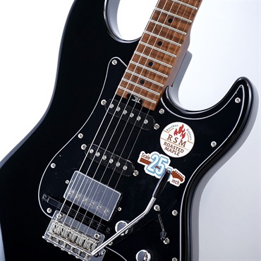 Bacchus BSH-STD-GK BLK GM-800&VG-800対応機！ ｜イケベ楽器店
