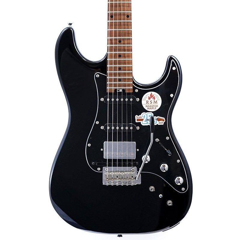 Bacchus BSH-STD-GK BLK GM-800&VG-800対応機！ ｜イケベ楽器店