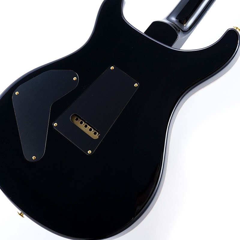 P.R.S. 2024 Custom 24 Piezo 10 Top (Faded Whale Blue