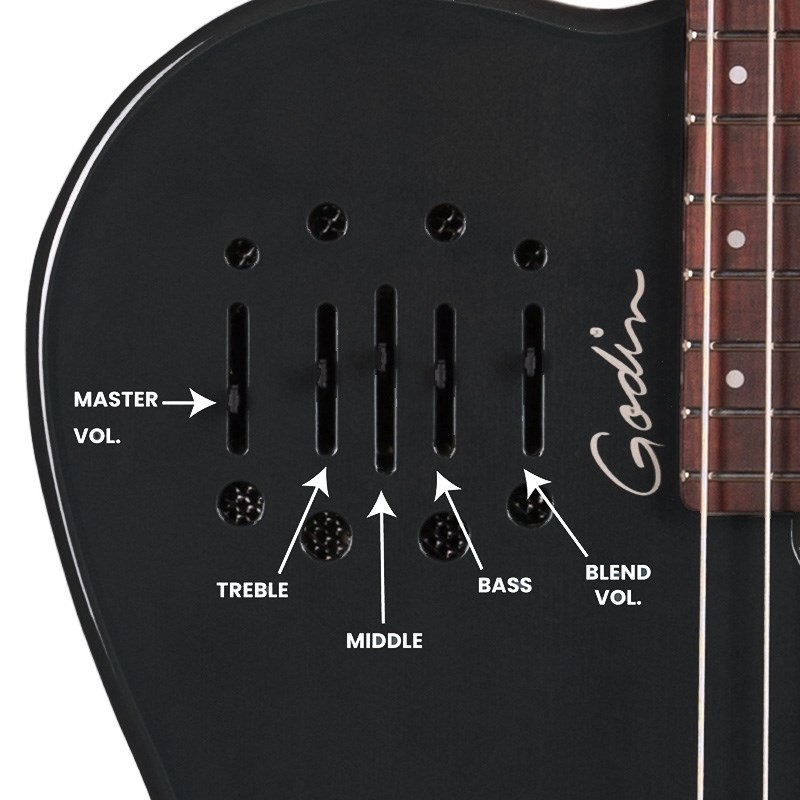 Godin Multiac Mundial Onyx Black ゴダン 画像10