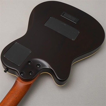 Godin Multiac Nylon Encore Natural SG 画像5