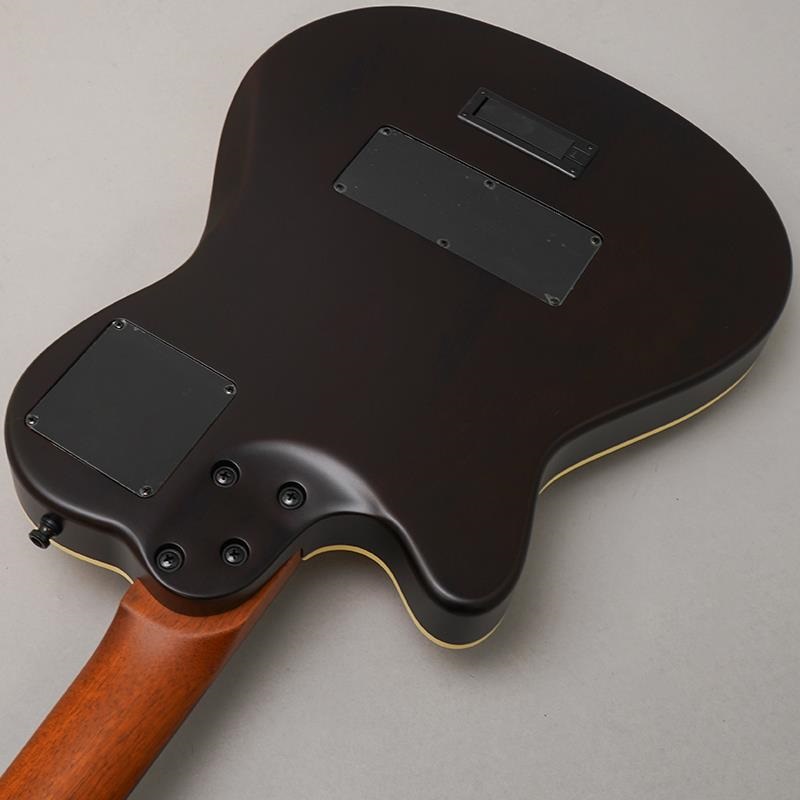 Godin Multiac Nylon Encore Natural SG 画像5