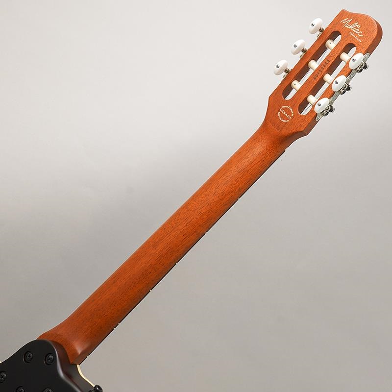 Godin Multiac Nylon Encore Natural SG 画像9