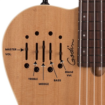 Godin Multiac Nylon Encore Natural SG 画像10