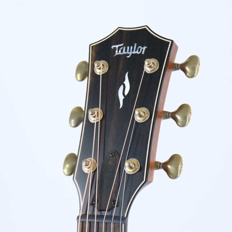 Taylor Builders Edition 814ce w/case