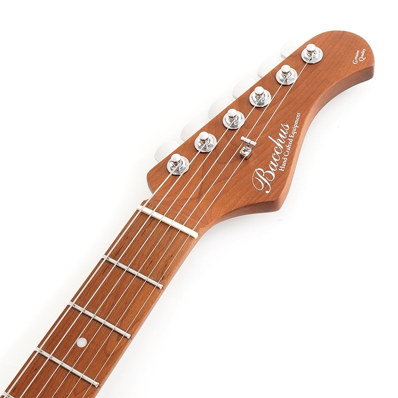 bacchus hand crafted equipment テレキャスター