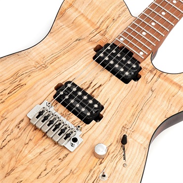 Bacchus Global Series TACTICS24-SPM RSM/M (NAS) 【ディバイザー大商談会2024選定品】 画像3