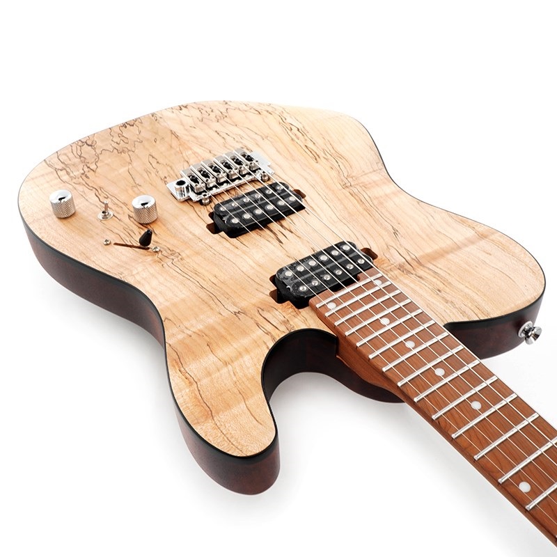 Bacchus Global Series TACTICS24-SPM RSM/M (NAS) 【ディ