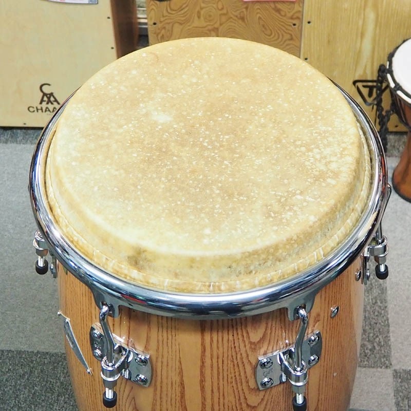 GON BOPS USED 中古 GON-AA1150 N [Alex Acuna Series Conga] 画像4