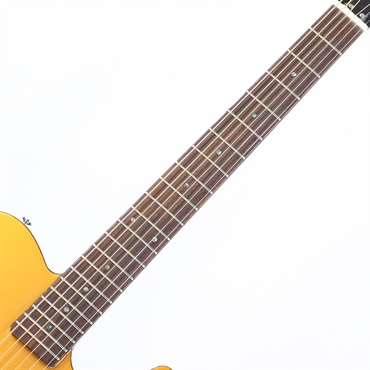 SCHECTER JAPAN ORIGINAL LINE OL-FL-P (GO) [SPOT MODEL] ｜イケベ