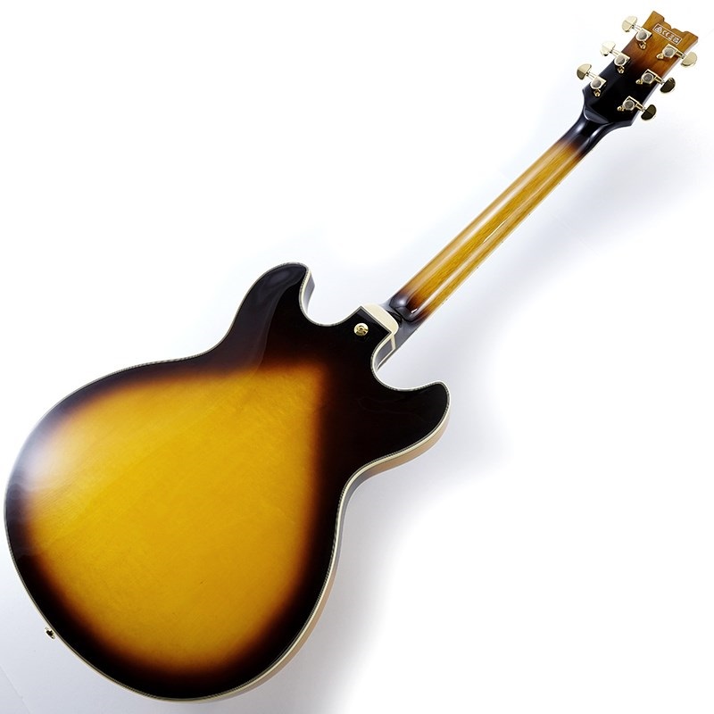 Ibanez JSM10EM-TTB (Two-tone Burst) [John Scofield Model