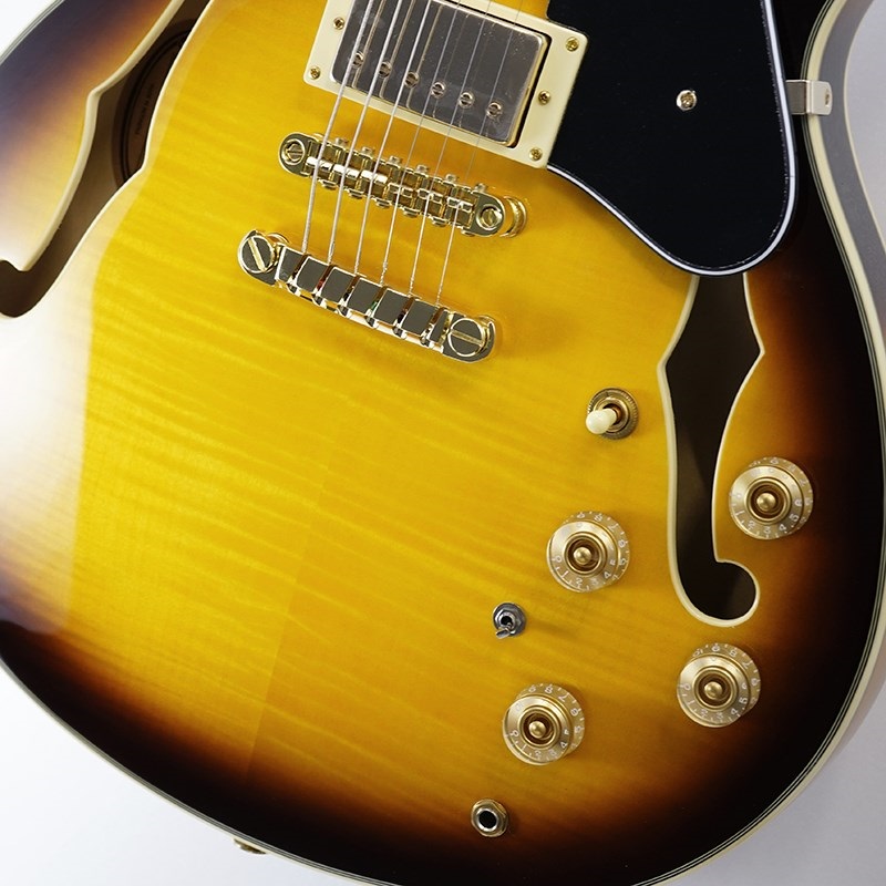 Ibanez エレキギター ダークウッド　名機 Ibanez TOD10 Tim Henson ティムヘンソン シグネイチャーモデル