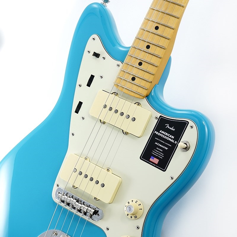 FENDER USA American Professional II Stratocaster Rosewood
