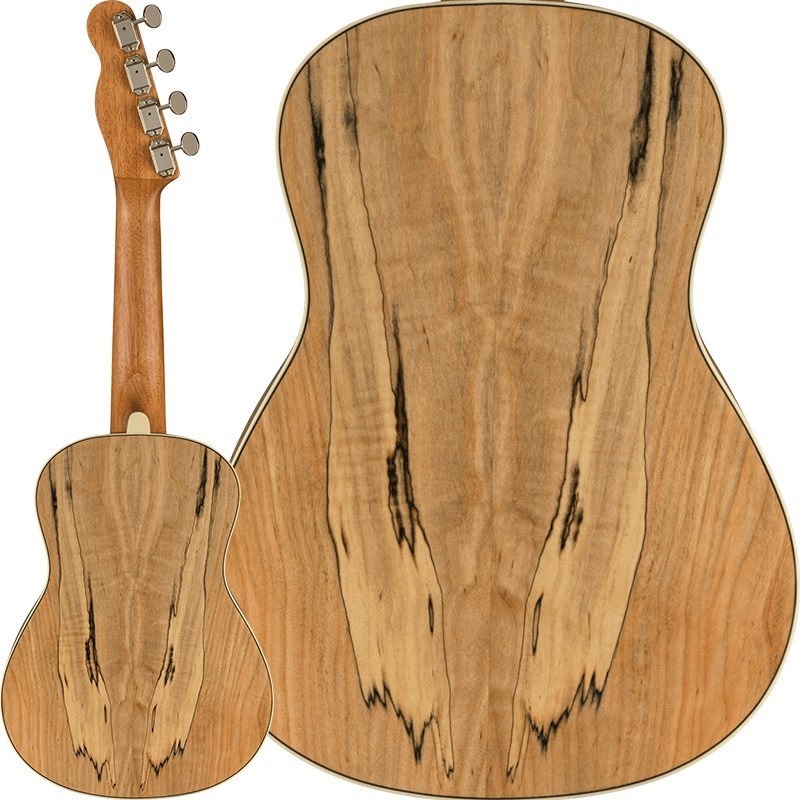 Fender Acoustics 【数量限定特価】【新楽器応援セール】 ZUMA EXOTIC CONCERT UKULELE (Spalted Maple) フェンダー 画像1