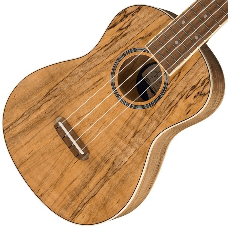 Fender Acoustics 【数量限定特価】【新楽器応援セール】 ZUMA EXOTIC CONCERT UKULELE (Spalted Maple) フェンダー 画像2