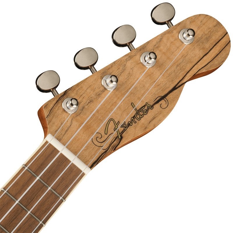 Fender Acoustics 【数量限定特価】【新楽器応援セール】 ZUMA EXOTIC CONCERT UKULELE (Spalted Maple) フェンダー 画像3