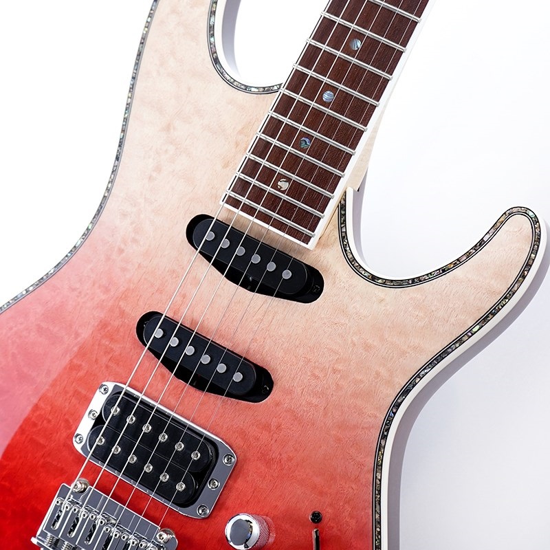 Ibanez SA360NQM-RCG [SPOT MODEL] ｜イケベ楽器店オンラインストア